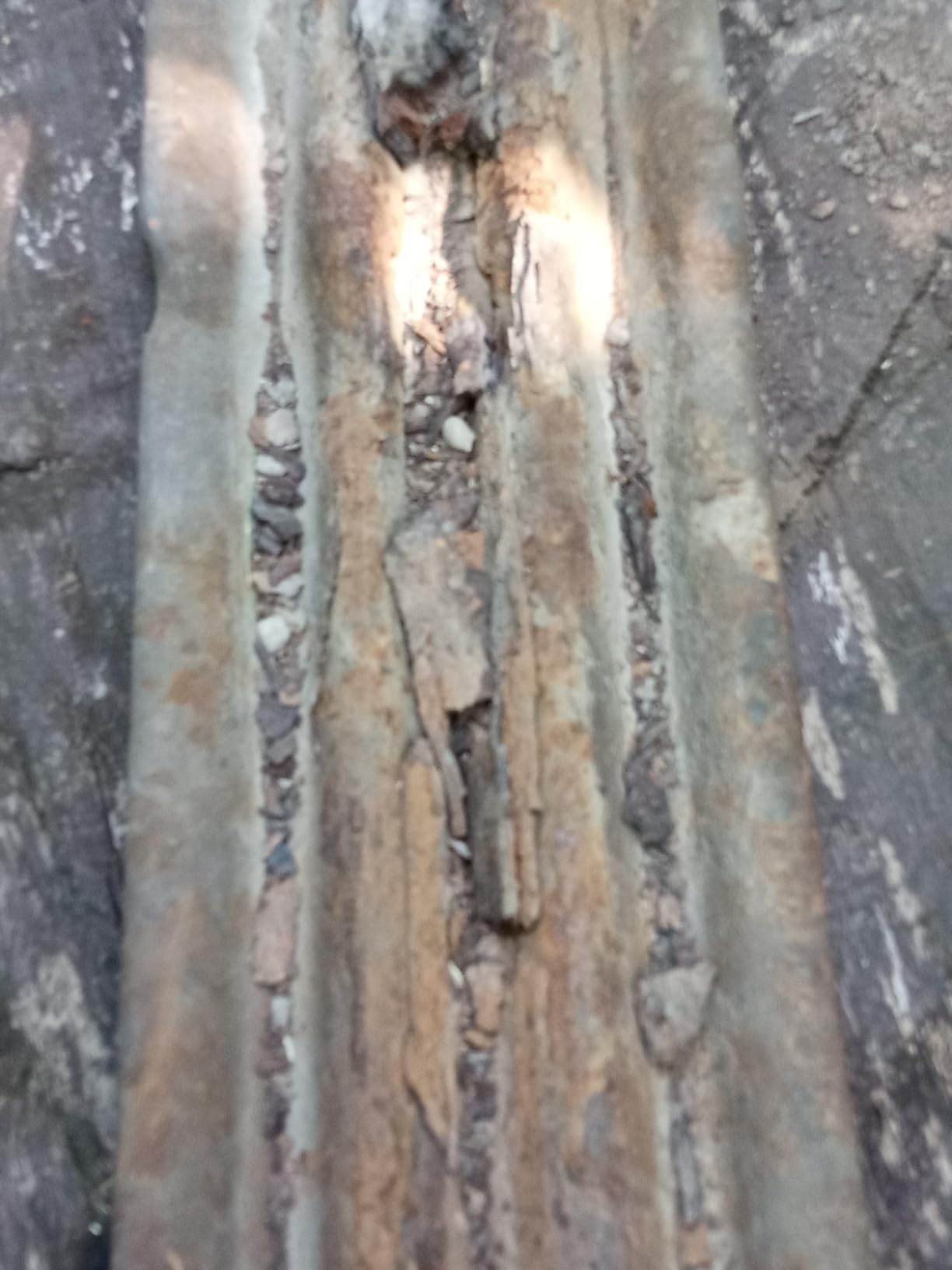 Rost erstickt