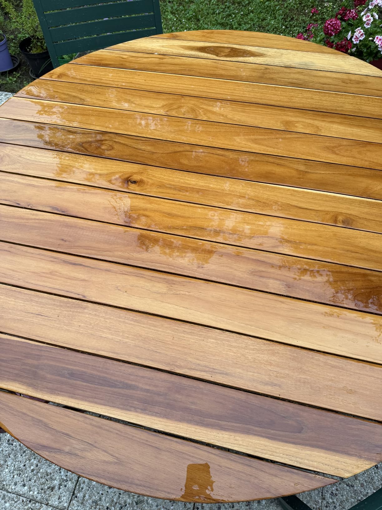 Bank sieht wieder lebendig aus